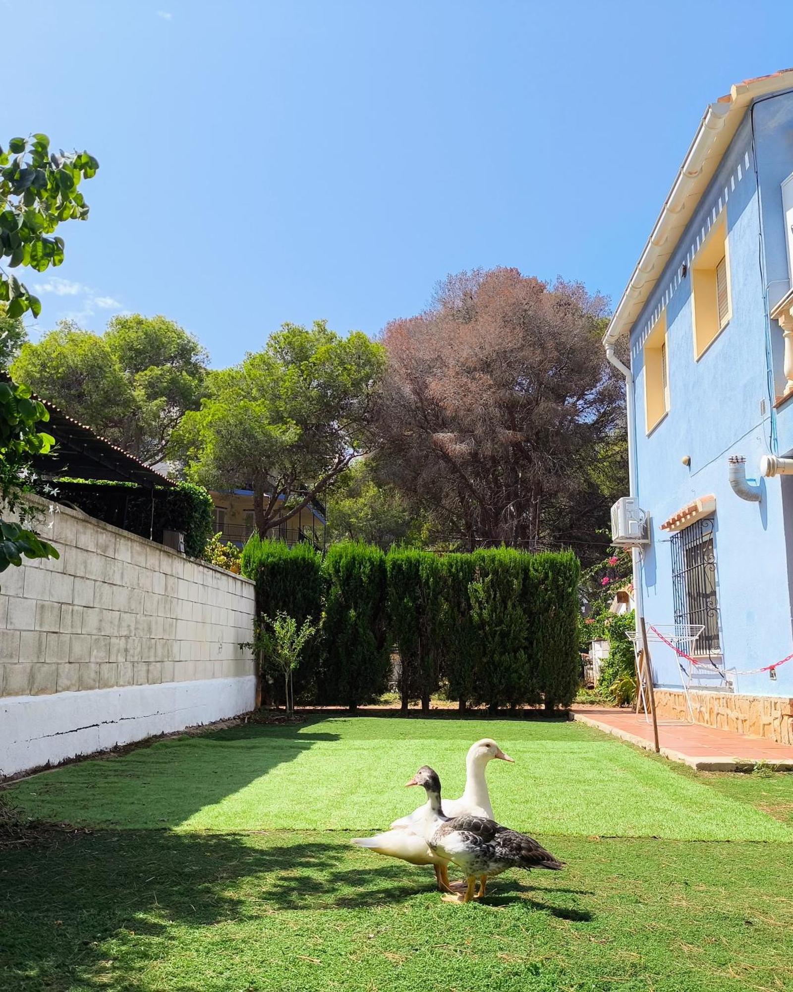 Estudio Las Rotas Dénia Esterno foto